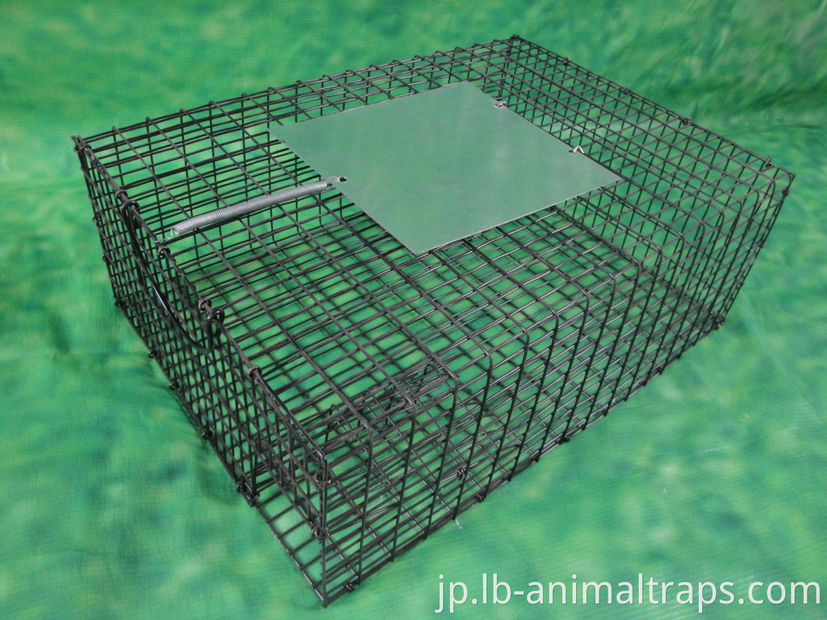 Animal Trap Cage For Sale